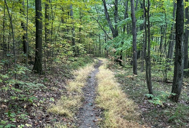 🥾 Italy Hill Trail – High Tor Wildlife Management Area, Naples, NY