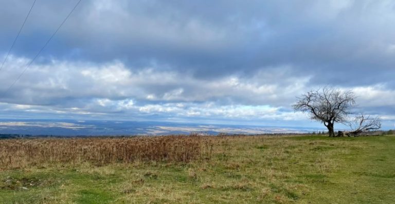 🥾 Burnt Hill and Interloken Trails – Finger Lakes National Forest, Hector, NY