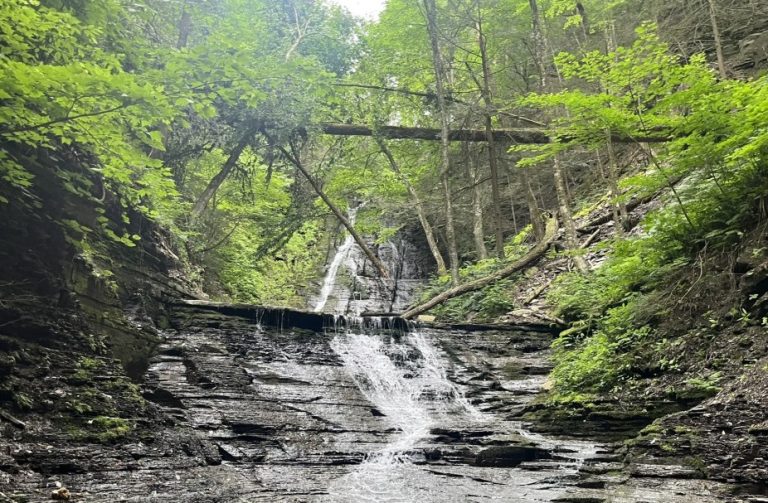 🥾 Bristol Hills Trail Loop – Naples