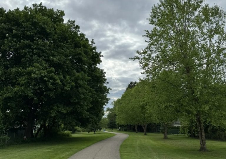 🥾 Corning Painted Post Trail – Corning