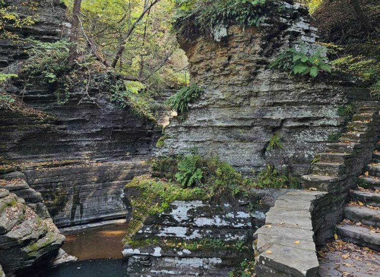 🥾 Buttermilk Falls Gorge and Rim Trail Loop – Ithaca