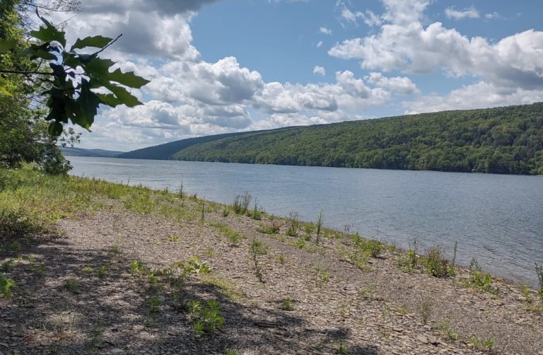 🥾 Hemlock Lake Hiking Trail – Livonia NY